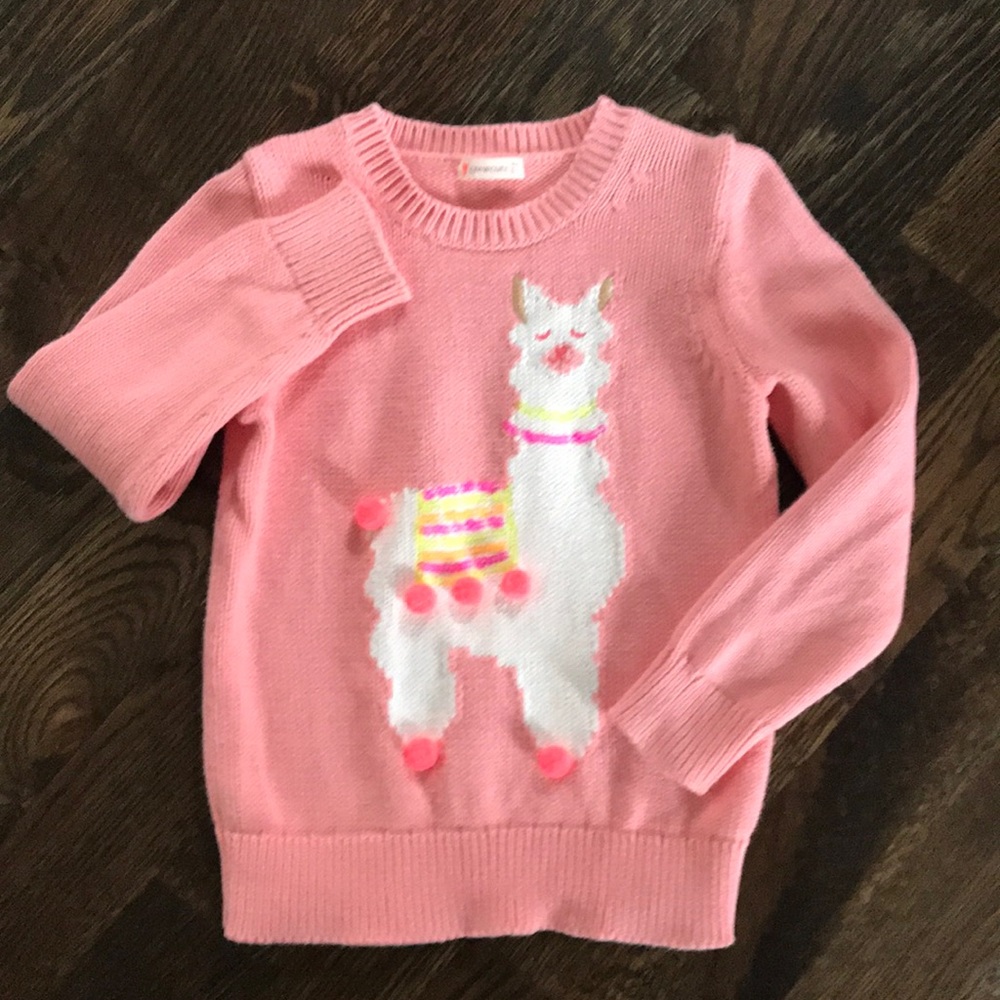 Girls Crewcuts Sweater 2019